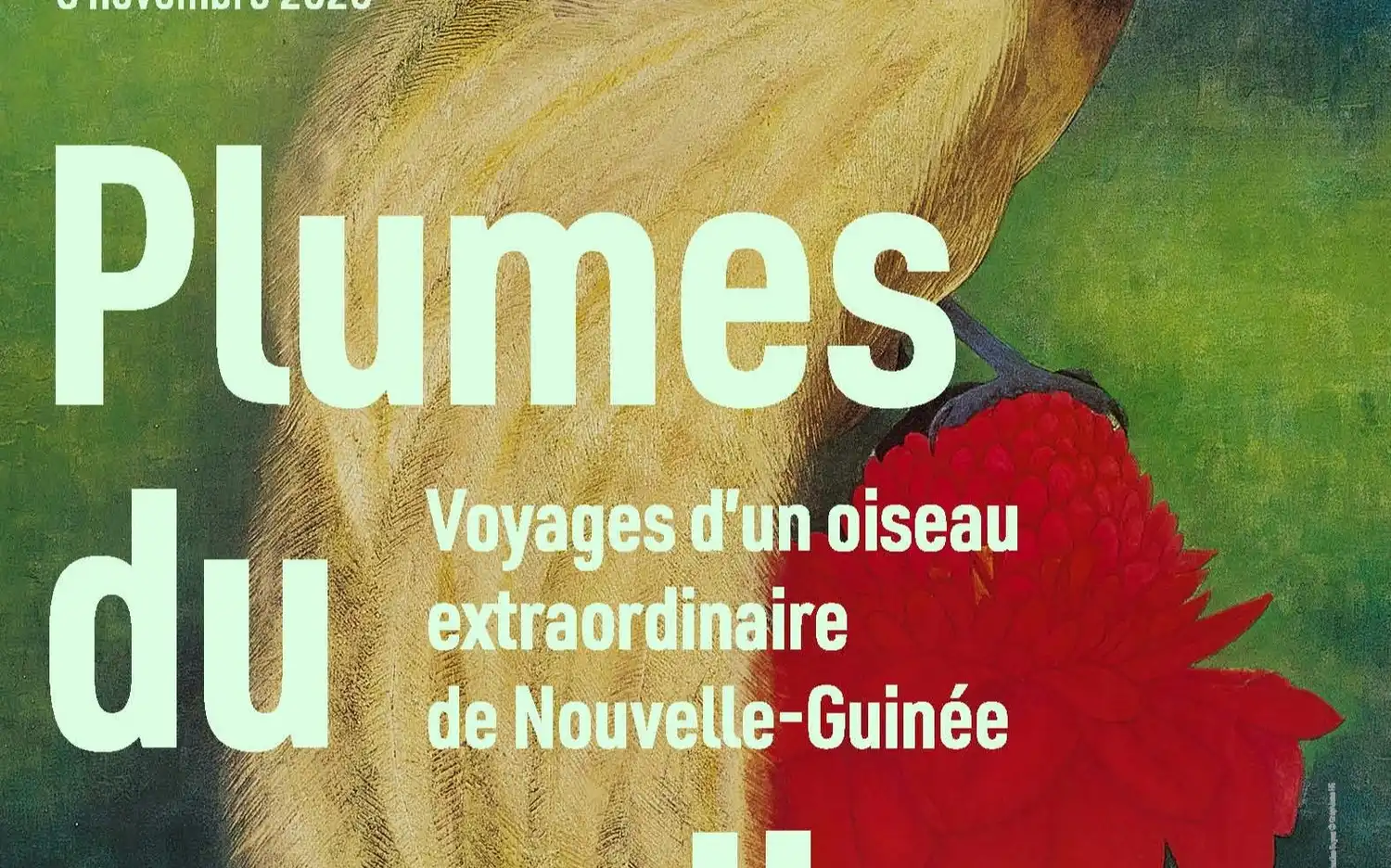 Barwne cudowronki i kunsztowne pióropusze z Nowej Gwinei na wystawie Plumes du Paradis w Musée du Quai Branly.