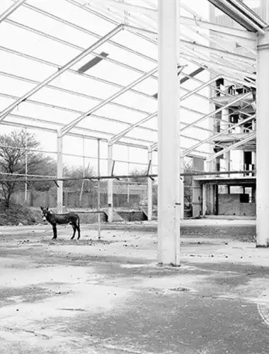 Stark black-and-white landscape photography captures the silent aftermath of South African conflict and memory.