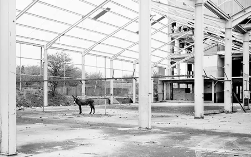 Stark black-and-white landscape photography captures the silent aftermath of South African conflict and memory.