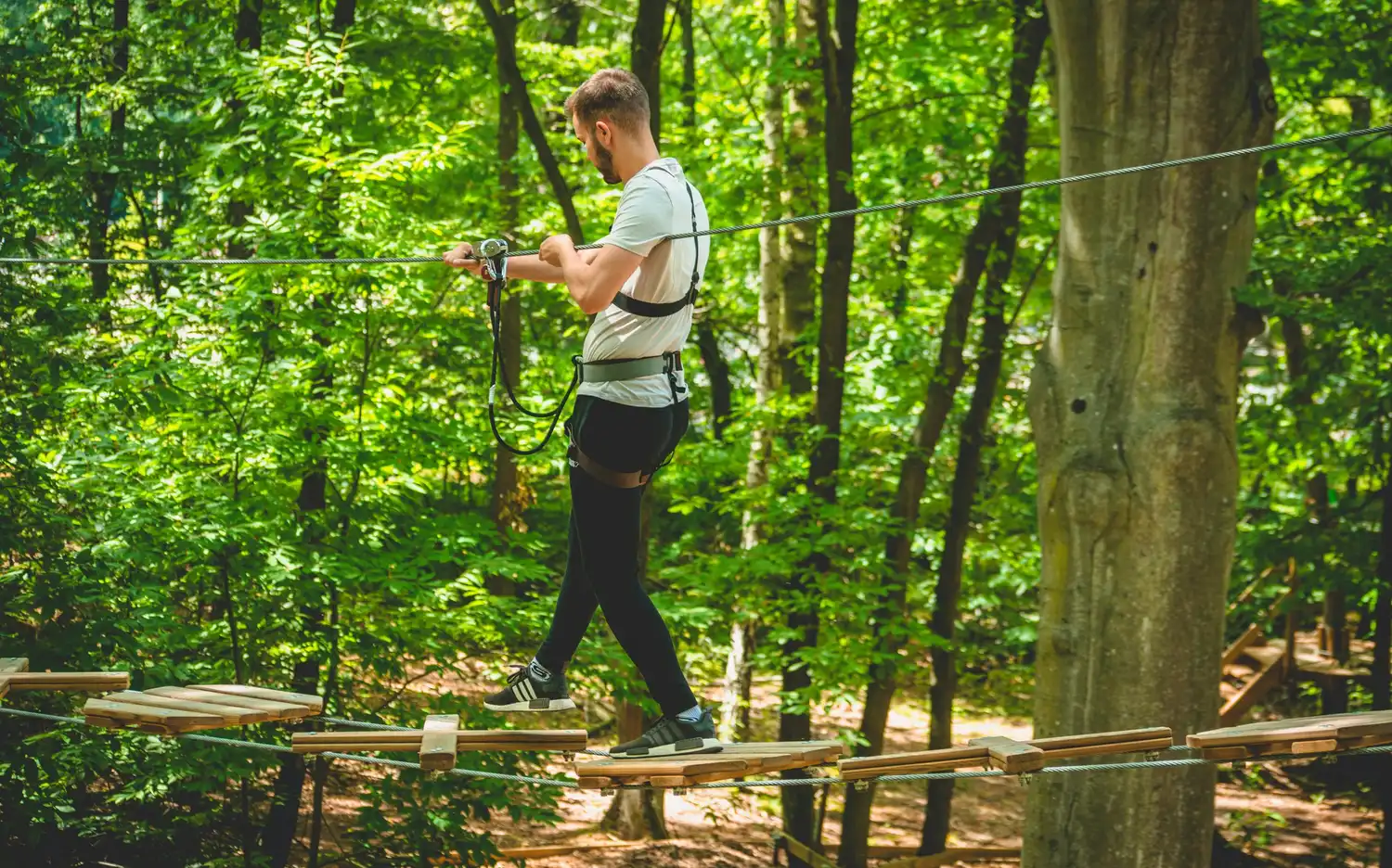 Person wearing a harness walking on a rope bridge in a forest. Person wearing a harness walking on a rope bridge in a forest.