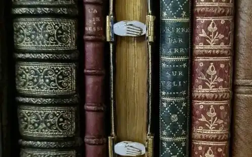 Zeldzame manuscripten en boekbanden in de Cabinet des Livres bij Gerestaureerde schatten: Een eerbetoon aan mecenassen.