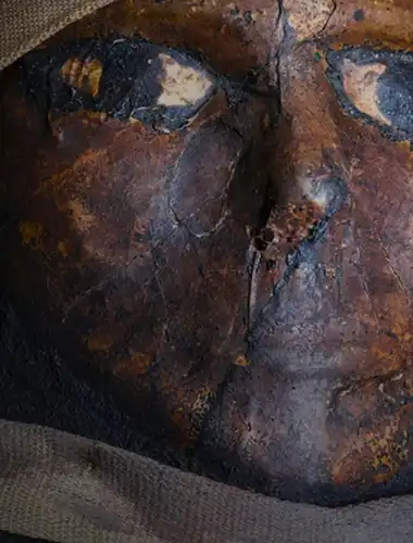 Mummified human remains and funerary objects in a modern, respectfully lit gallery at the Musee de l'Homme.