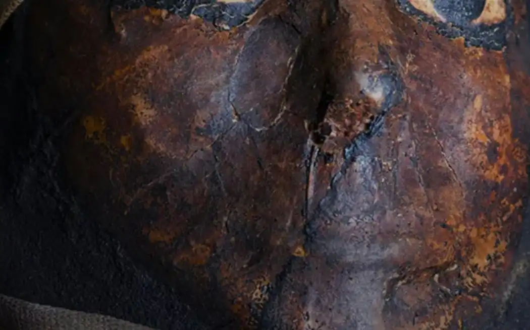 Mummified human remains and funerary objects in a modern, respectfully lit gallery at the Musee de l'Homme.