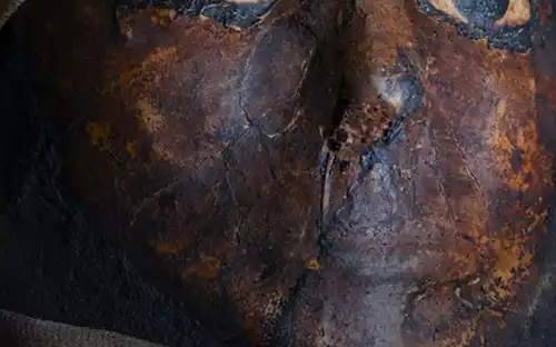 Gemummificeerde menselijke resten en grafvoorwerpen in een modern verlichte zaal van de Mummies-expositie.