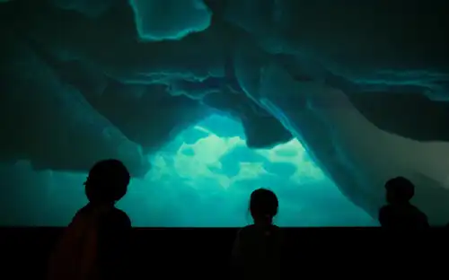 Eksponaty morskie w Musée National de la Marine Ludzie oglądający na dużym ekranie podwodną scenę w odcieniach błękitu i zieleni w Musée National de la Marine.