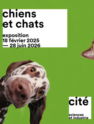 Vibrant gallery space showcasing interactive exhibits about the sensory world and behavior of dogs and cats.