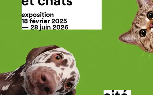 Levendige galerij met interactieve opstellingen over de zintuigen en het gedrag bij de expo Honden en katten.