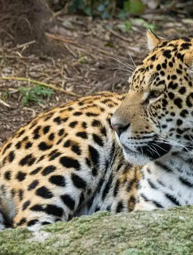 Lorem ipsum dolor sit amet, consectetur adipiscing elit, sed do eiusmod 2026 Exhibitions Paris 128